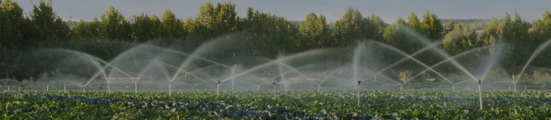 Yağmurlama Sulama Sistemleri