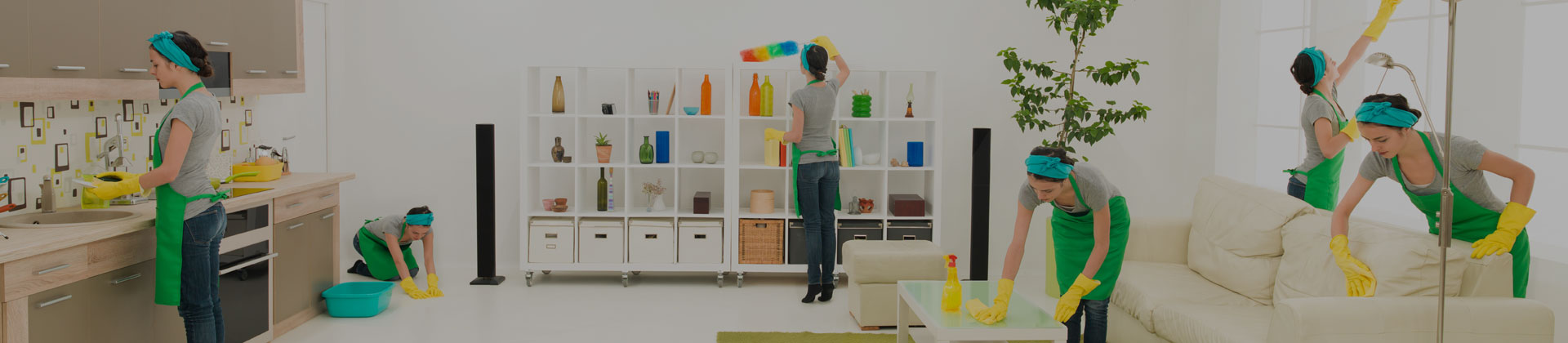 Temizlik ve İlaçlama