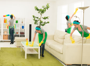 Temizlik ve İlaçlama