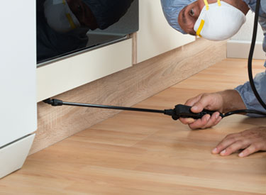 Böcek ve Haşere İlaçlama