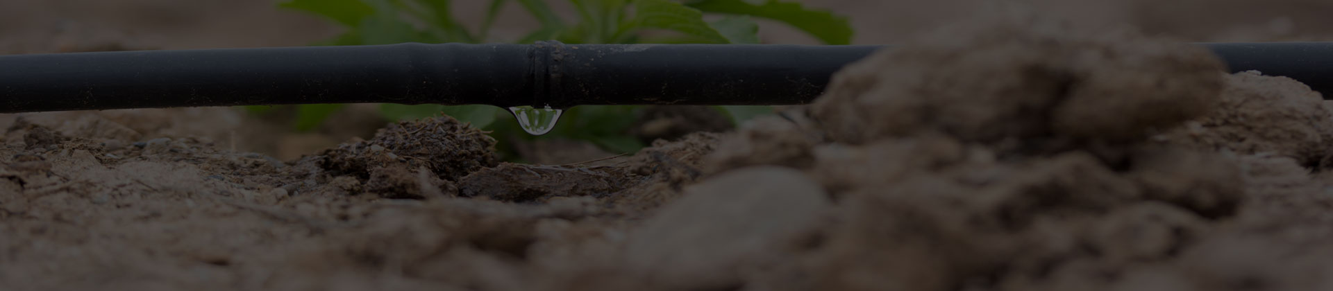 Damlama Sulama Sistemleri