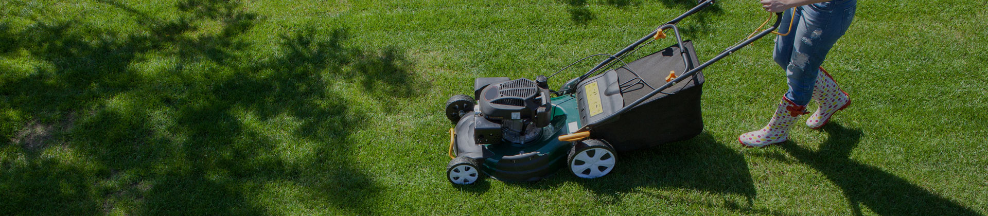 Çim Biçme ve Düzenleme