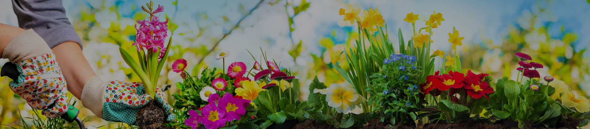 Bahçıvanlık İşleri